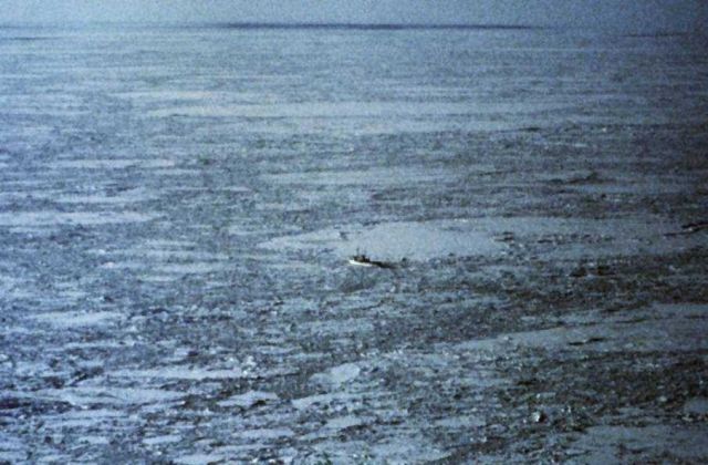 NOAA Ship SURVEYOR Picture