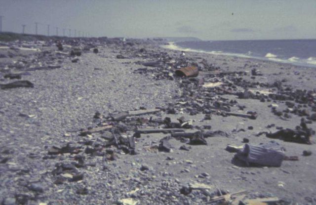 The beach at Nome Picture