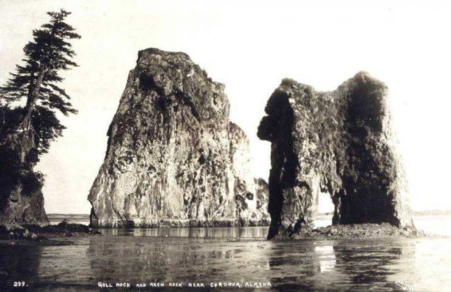 Gull Rock and Arch Rock Picture