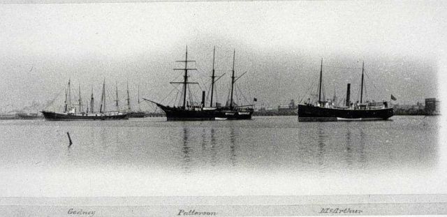 Coast and Geodetic Survey Ships GEDNEY, PATTERSON, AND MCARTHUR. Picture