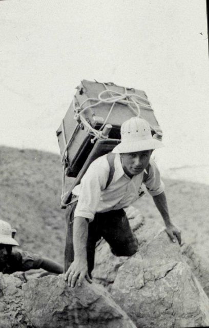 Observer Thomas and pack Picture