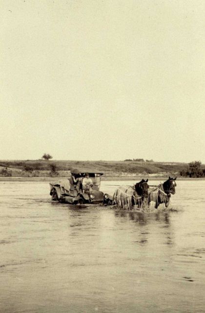 Two kinds of horsepower Picture