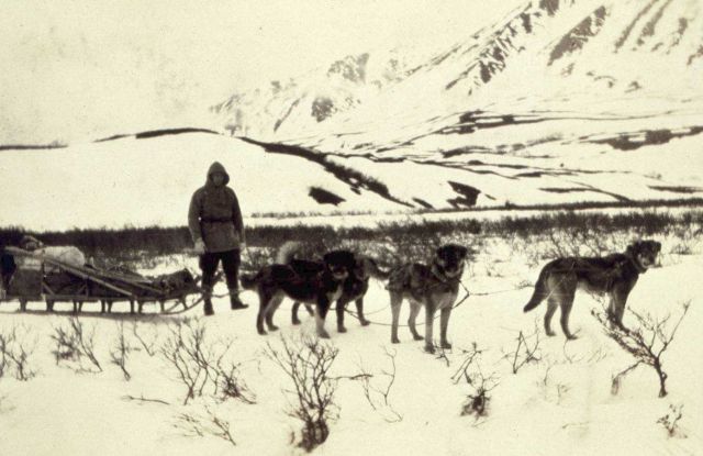 Spring reconnaissance in the Broad Pass District Picture