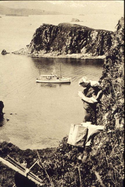 Climbing to station Picture