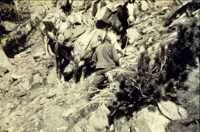 In climbing to Station Gallatin, the horses took some bad rolls Picture