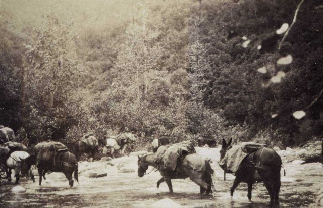 Fording a stream Picture