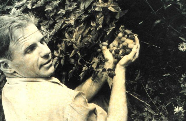 Coast Guard pilot Lieutenant Vaughan with salmon berries. Picture