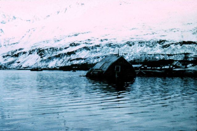 Radical changes in sea level following 1964 Alaska Good Friday Earthquake. Picture