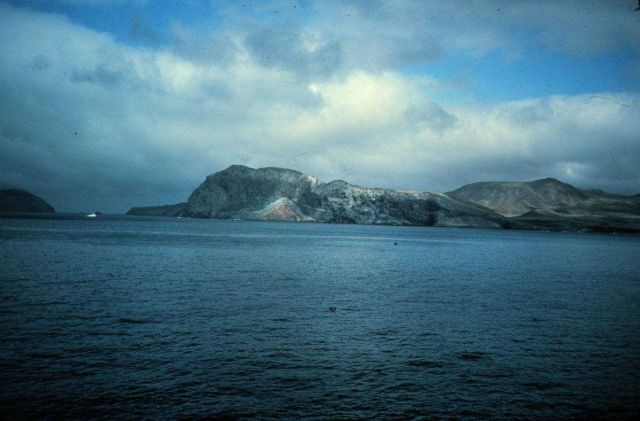 Southeast coast of Guadalupe Island Picture