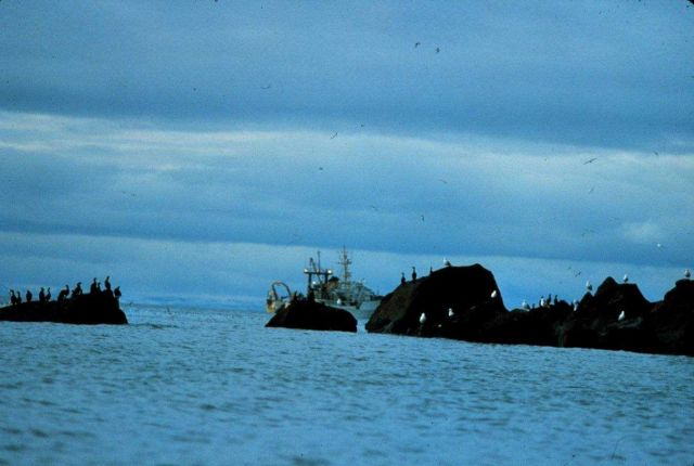 NOAA Ship MILLER FREEMAN seen beyond the rocks of an Aleutian shore Picture