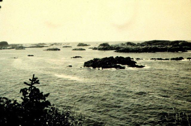 Unusual number of islets to chart Picture