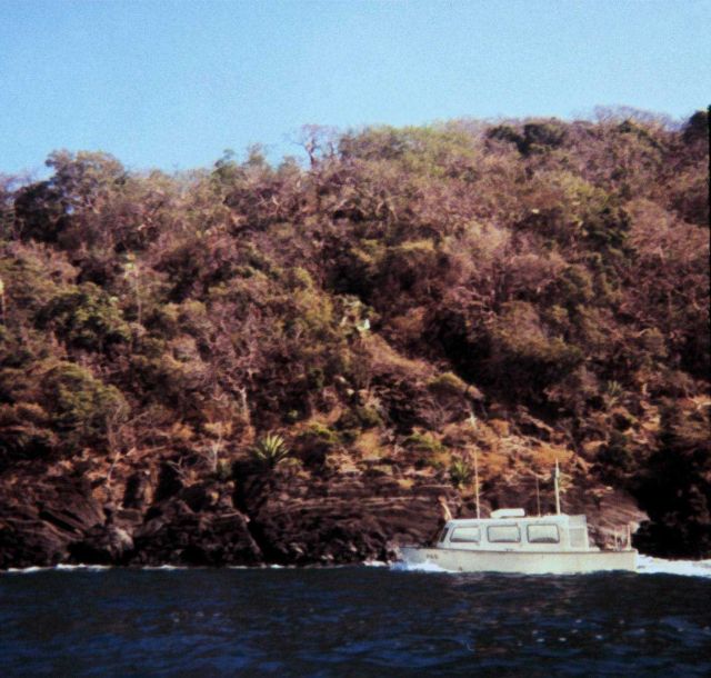 26' plastic pig running shore line in Pillsbury Sound Picture
