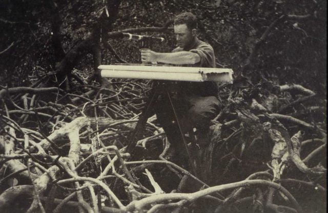 Plane table setup in mangrove swamp Picture