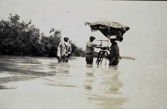 Carl Aslakson at plane table in mangrove area Picture