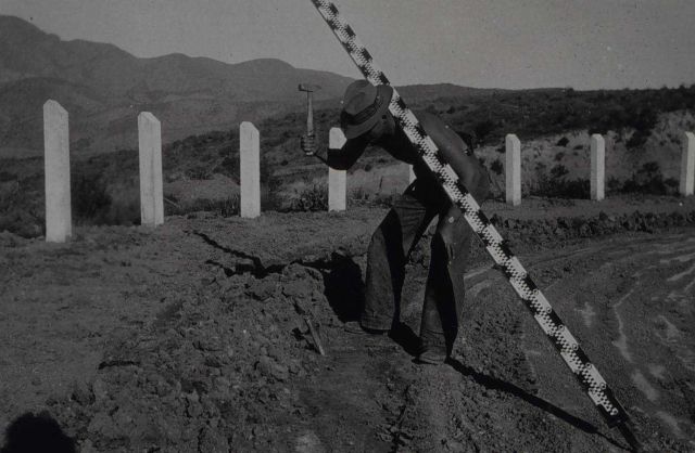 Driving pin for steady rod support Picture