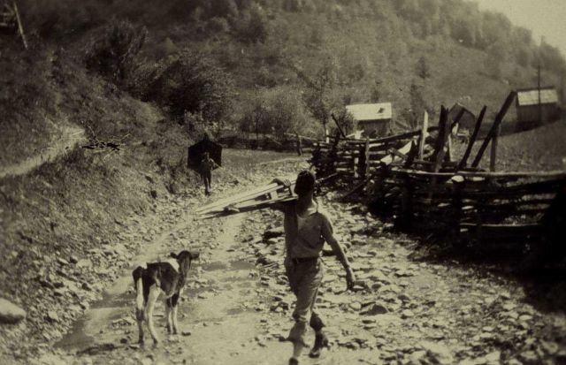 Level work along a new highway route Picture