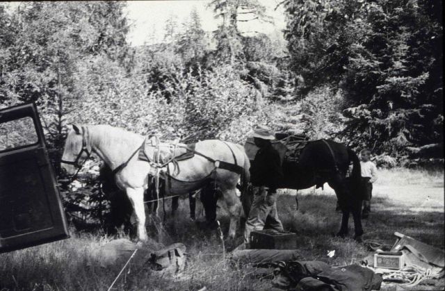At the end of truck travel on the Olympic Peninsula Picture