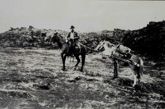 Horses packed with theodolite, tripod, and triangulation equipment Picture