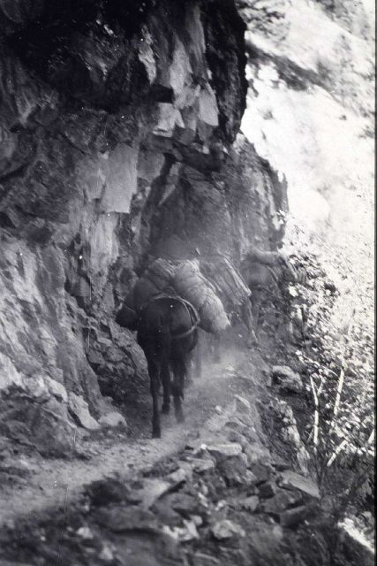 Along the trail in Salmon River Canyon Picture