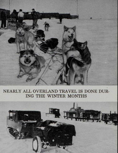 Dog sled and cat train used by Arctic Field Party Picture