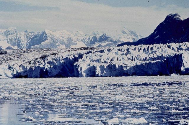 Columbia Glacier Picture