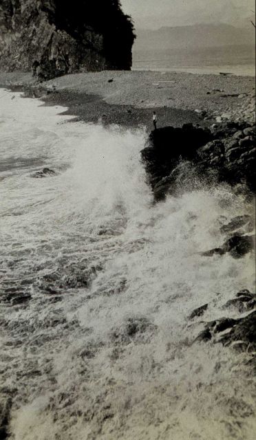 View of Heavy Surf at Point Elrington Picture