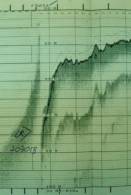 Near vertical dropoff at edge of reef on Eleuthera Island Picture