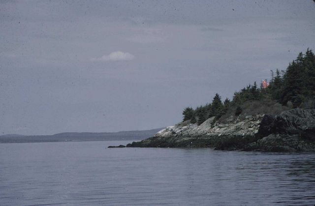 Signal in Penobscot Bay Picture