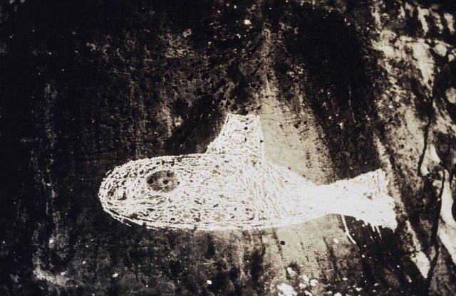 ORCA signal in Taku Inlet Picture