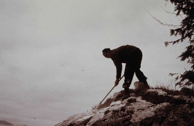 White-washing rock Picture