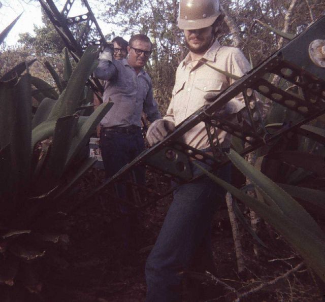 Carrying tower sections through the Spanish bayonet Picture