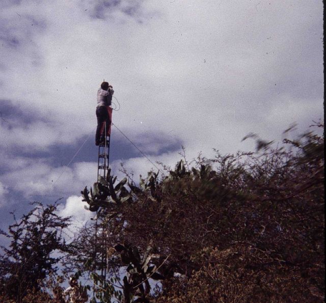 Seaman Shorty Fuentes adjusts navigation transponder Picture