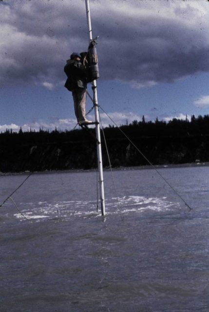 Tide gauge at high tide Picture