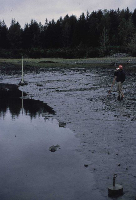 Leveling to tide staff and water's edge at extreme low tide Picture