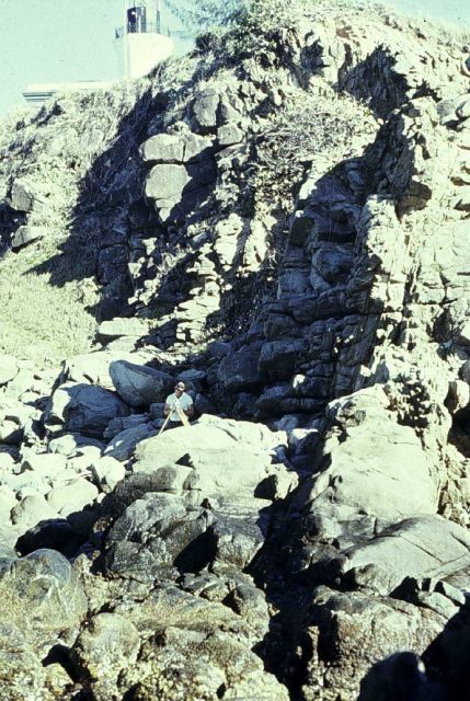 Tidal leveling up cliff in Puerto Rico Picture