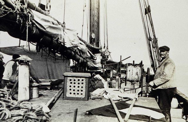 Wiredrag - arrangement of deck of guide boat Picture