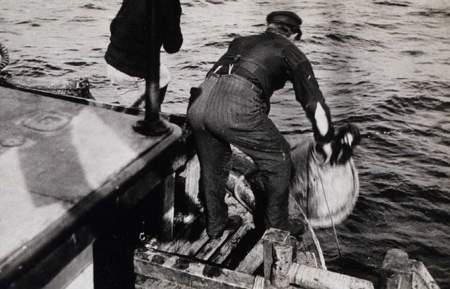Setting out the large buoy Picture