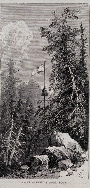 Signal pole with flag and tin cone for reflecting sunlight Picture