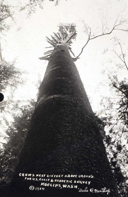 The crow's nest at Station Moclips - 215 feet above the ground Picture