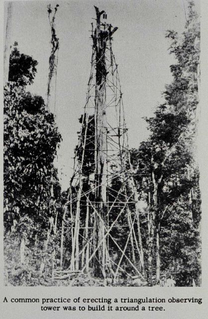Tower built around tree in the Philippine jungle. Picture