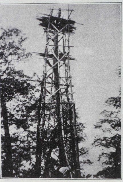 Tower built around a tree trunk. Picture