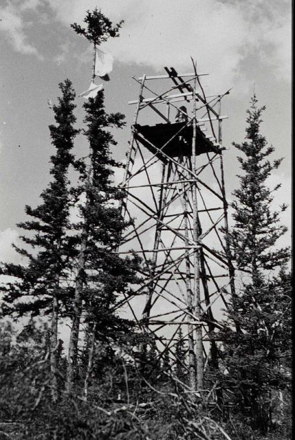Pole tower built from native timber at Takhini West Base Picture
