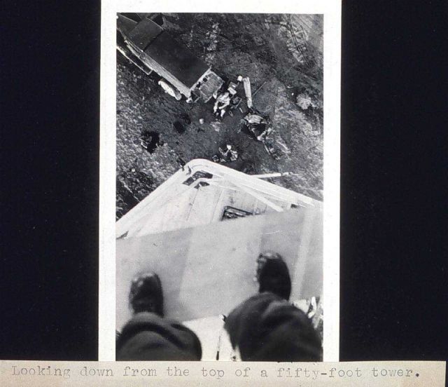 Looking down from the top of a 50-foot tower Picture