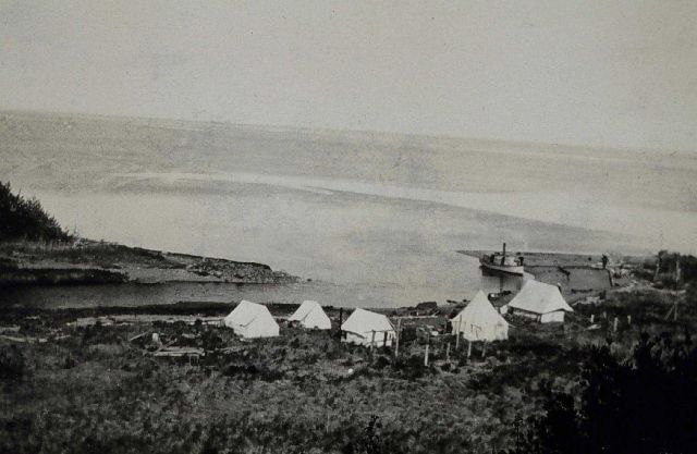 Camp on trout stream near Tyonek. Picture