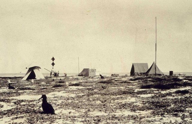 Camp on eastern Lisianski Island Picture