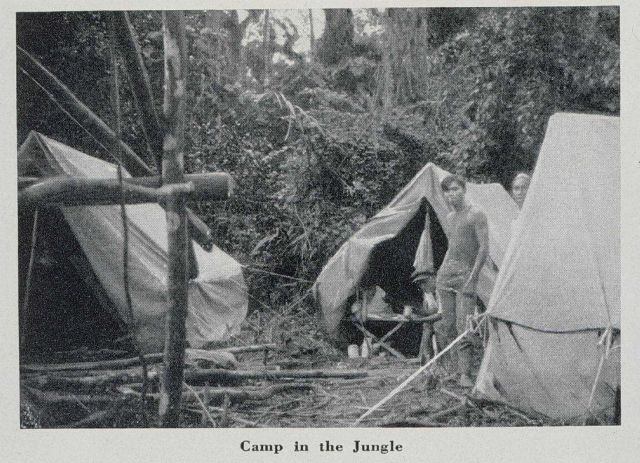 A snaky-looking camp in Central Luzon Picture