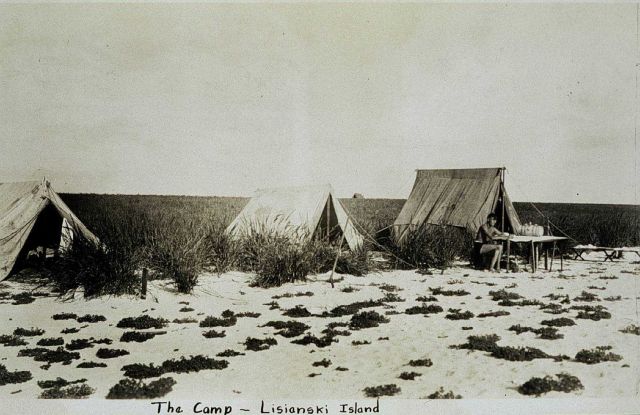 Camp on Lisianski Island Picture