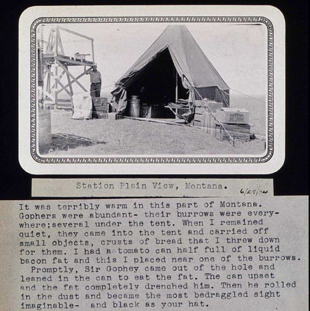 The camp at Plain View Picture