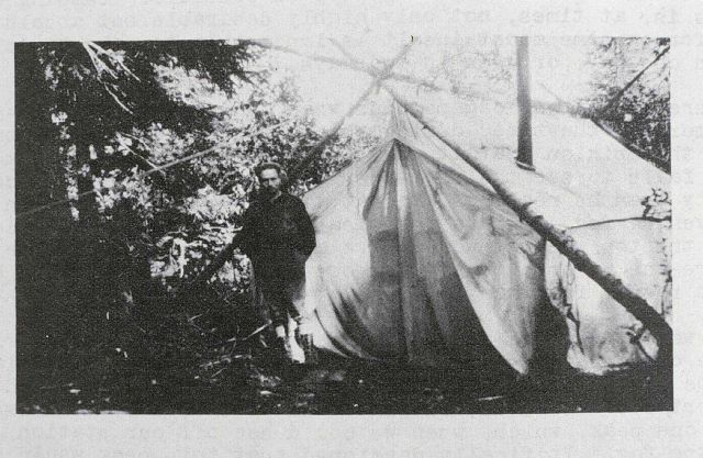 Camp in the trees Picture