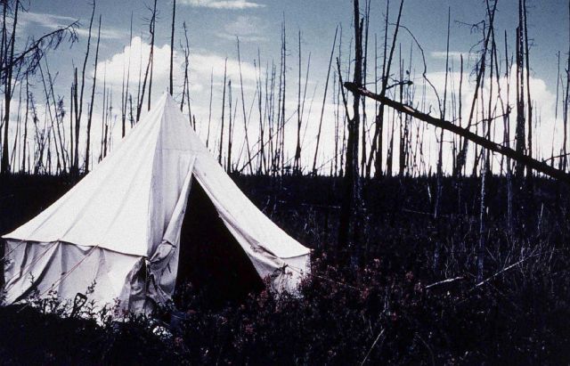 Camp on the Porcupine River Picture